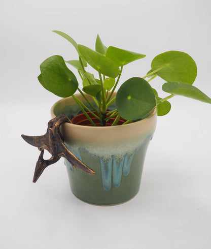 Pteranodon Pot Buddies Plant Pot Hanger