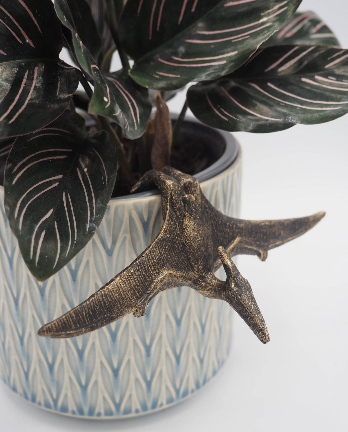 Pteranodon Pot Buddies Plant Pot Hanger