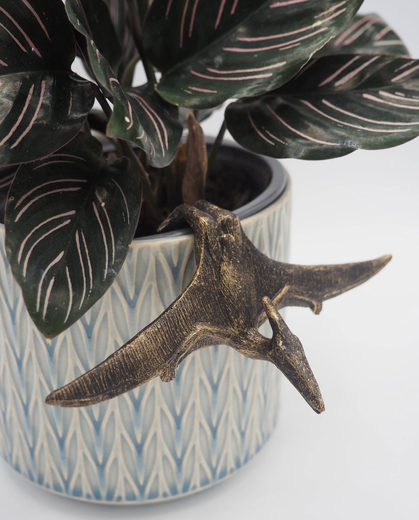 Velociraptor, Triceratops, Pteranodon Set of Three Pot Buddies Plant Pot Hangers