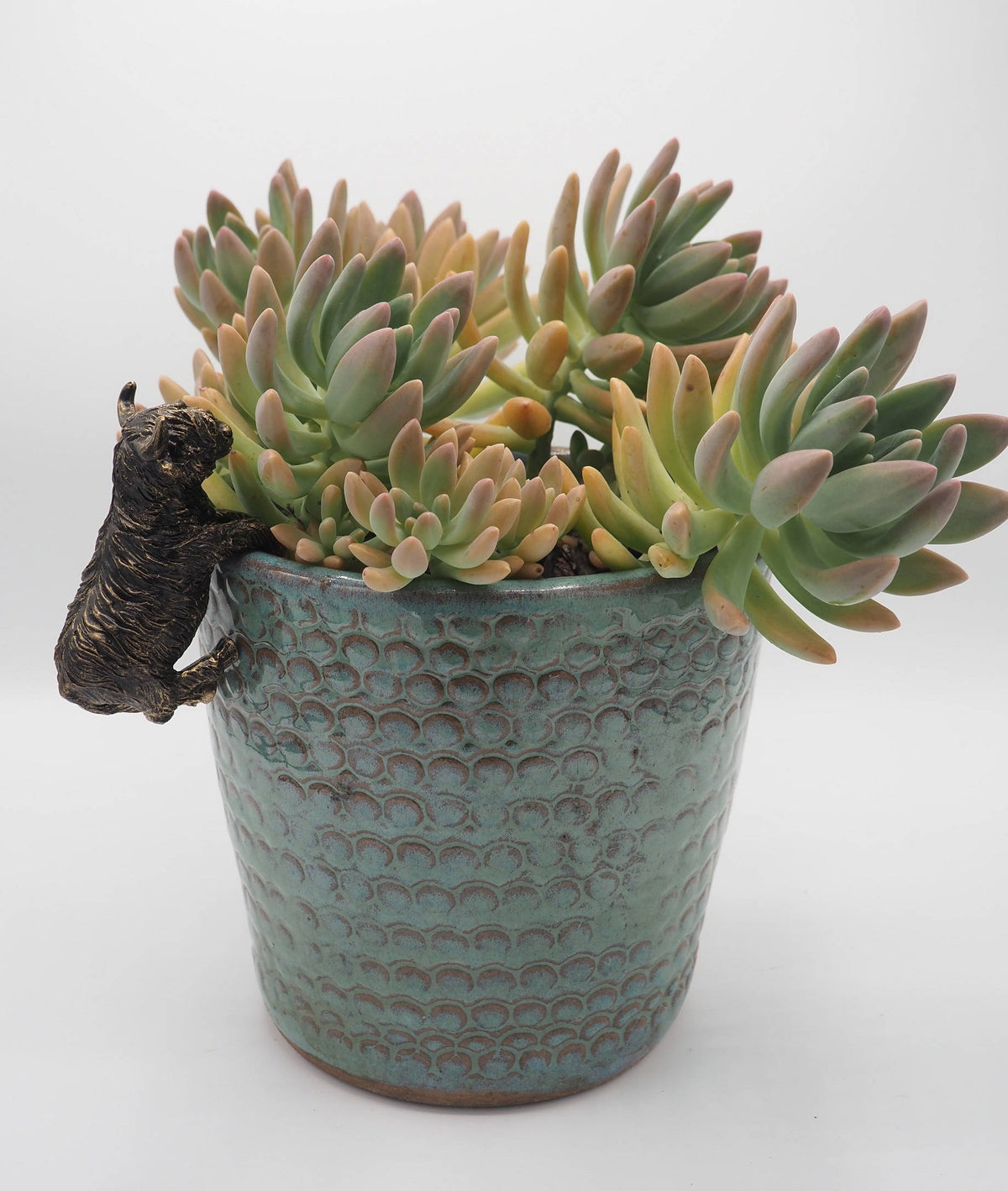 Highland Cow Pot Buddies Plant Pot Hanger