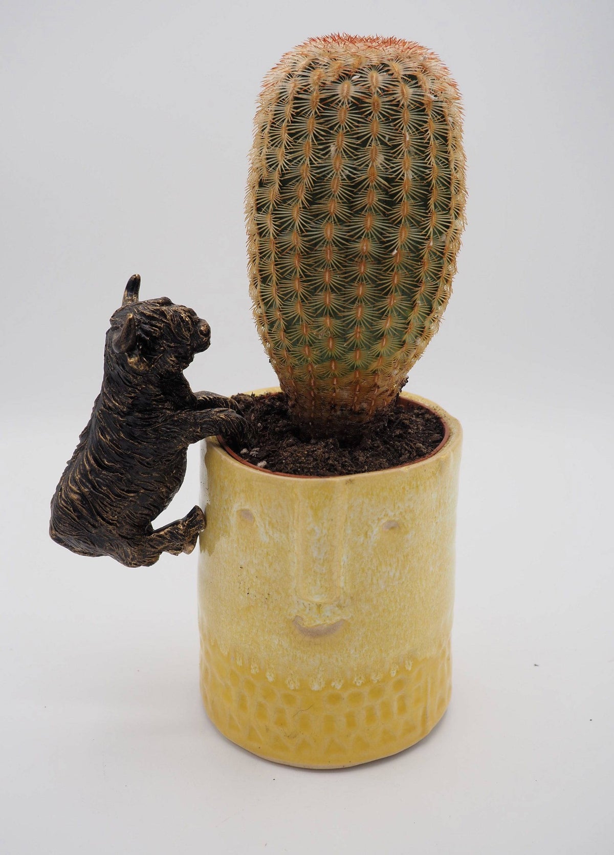Highland Cow Pot Buddies Plant Pot Hanger