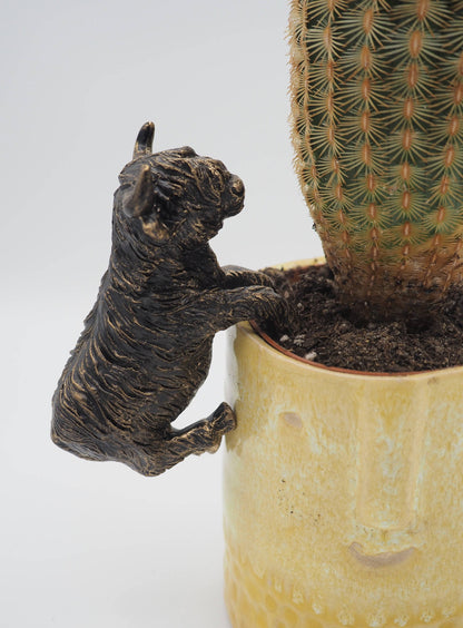 Highland Cow Pot Buddies Plant Pot Hanger