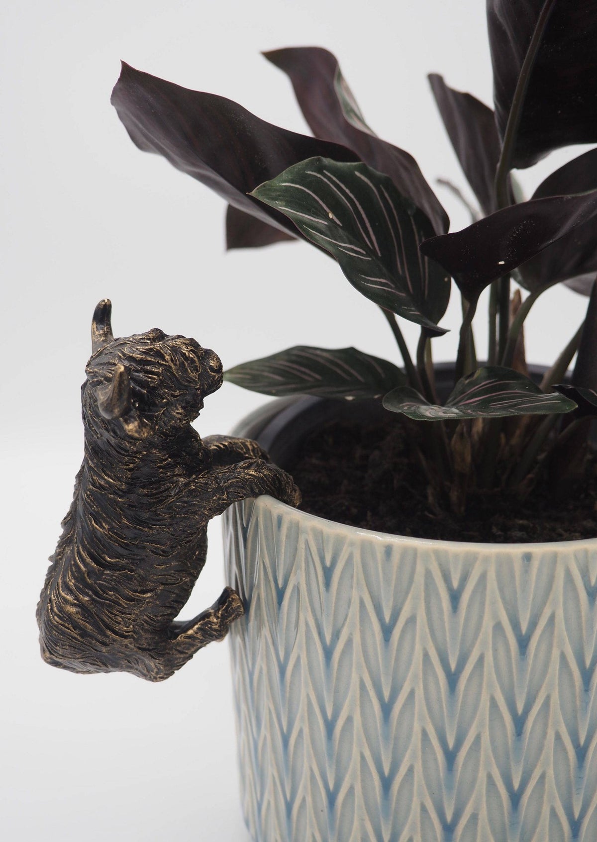 Highland Cow Pot Buddies Plant Pot Hanger