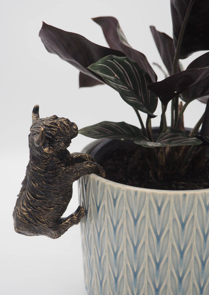 Highland Cow Pot Buddies Plant Pot Hanger