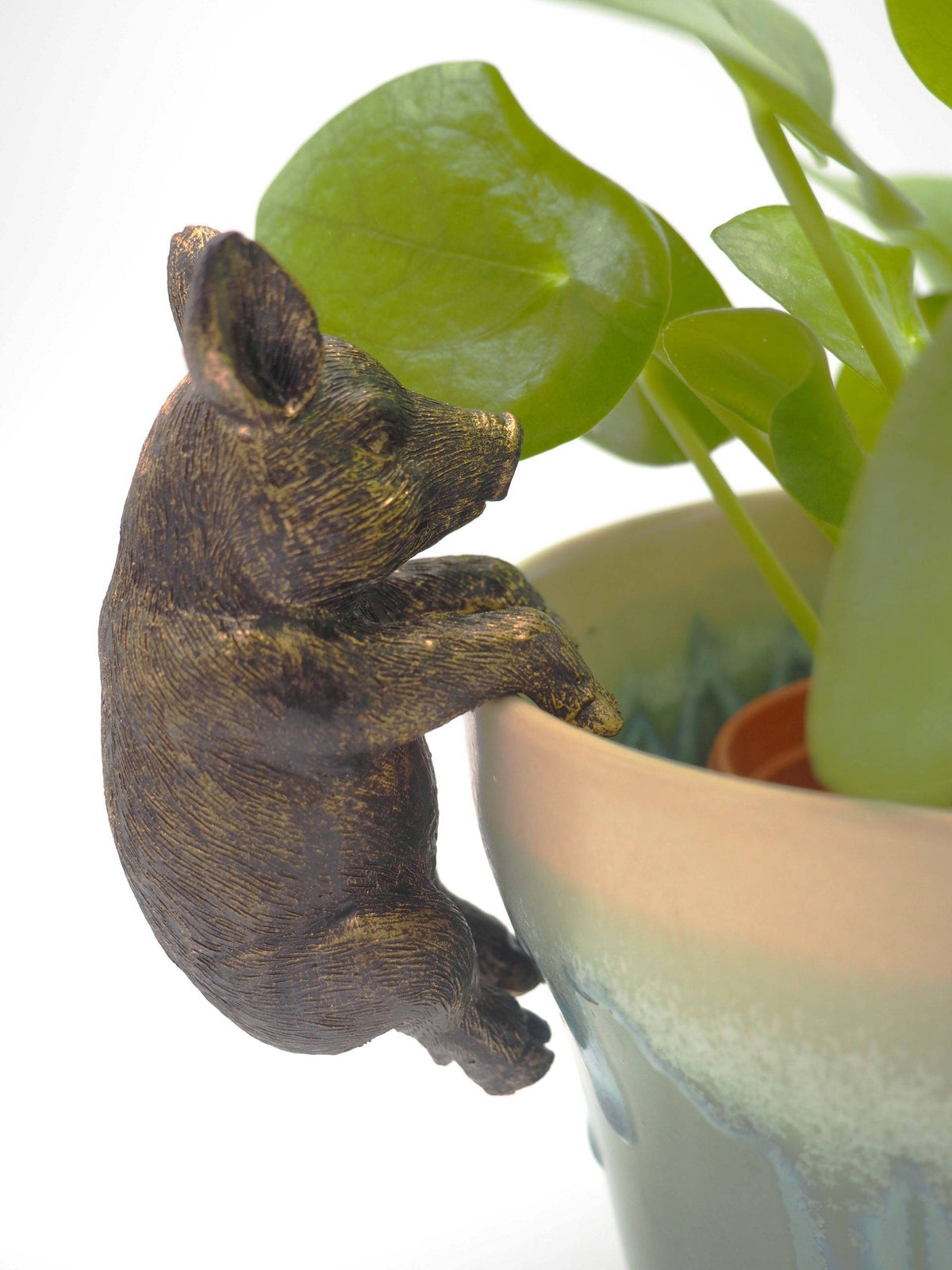 Pig Pot Buddies Plant Pot Hanger