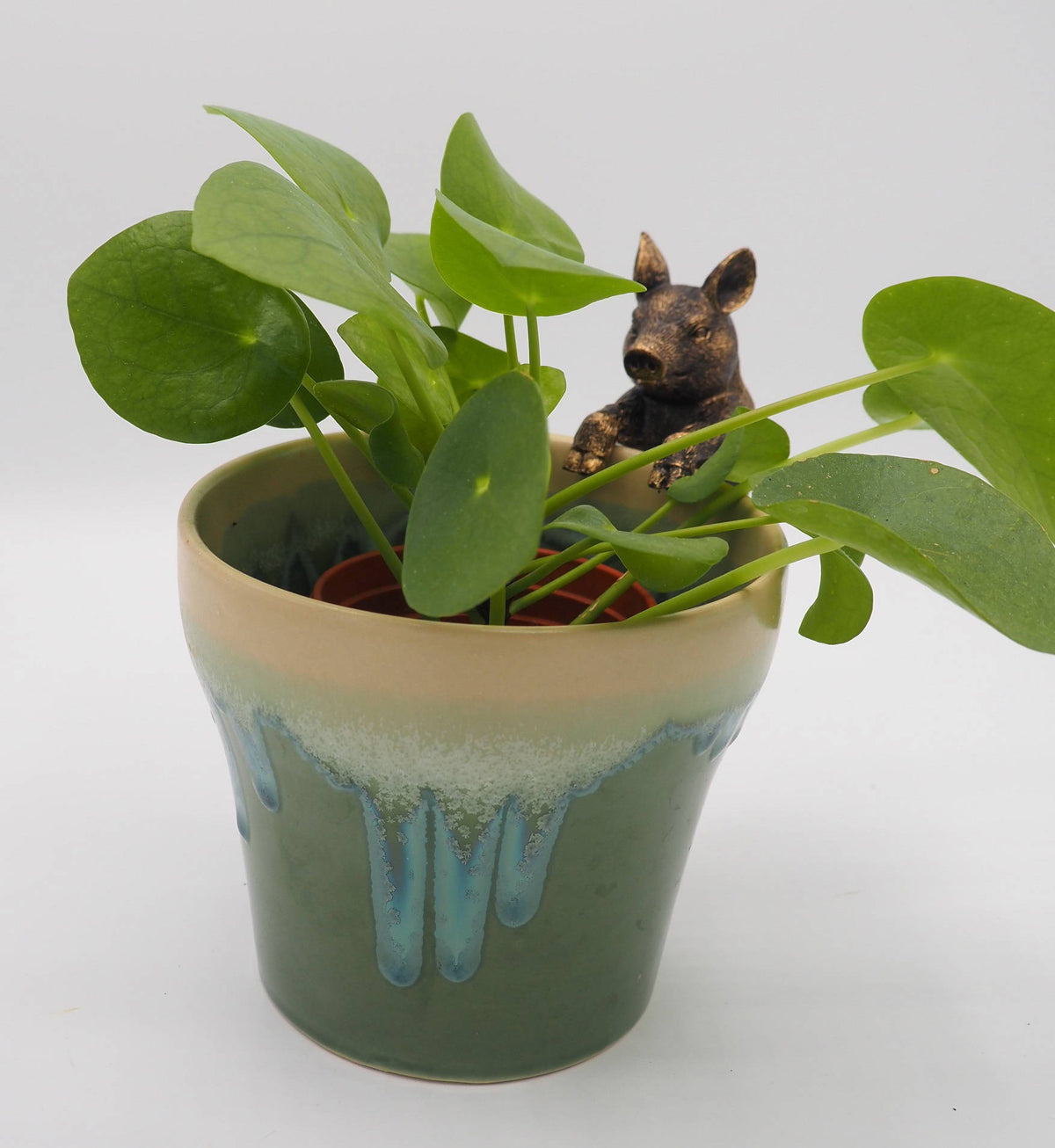 Pig Pot Buddies Plant Pot Hanger