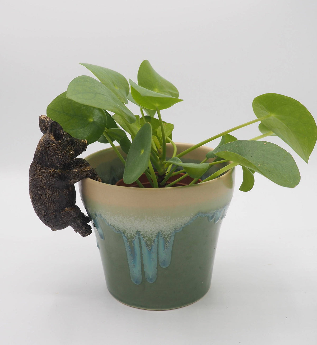 Pig Pot Buddies Plant Pot Hanger