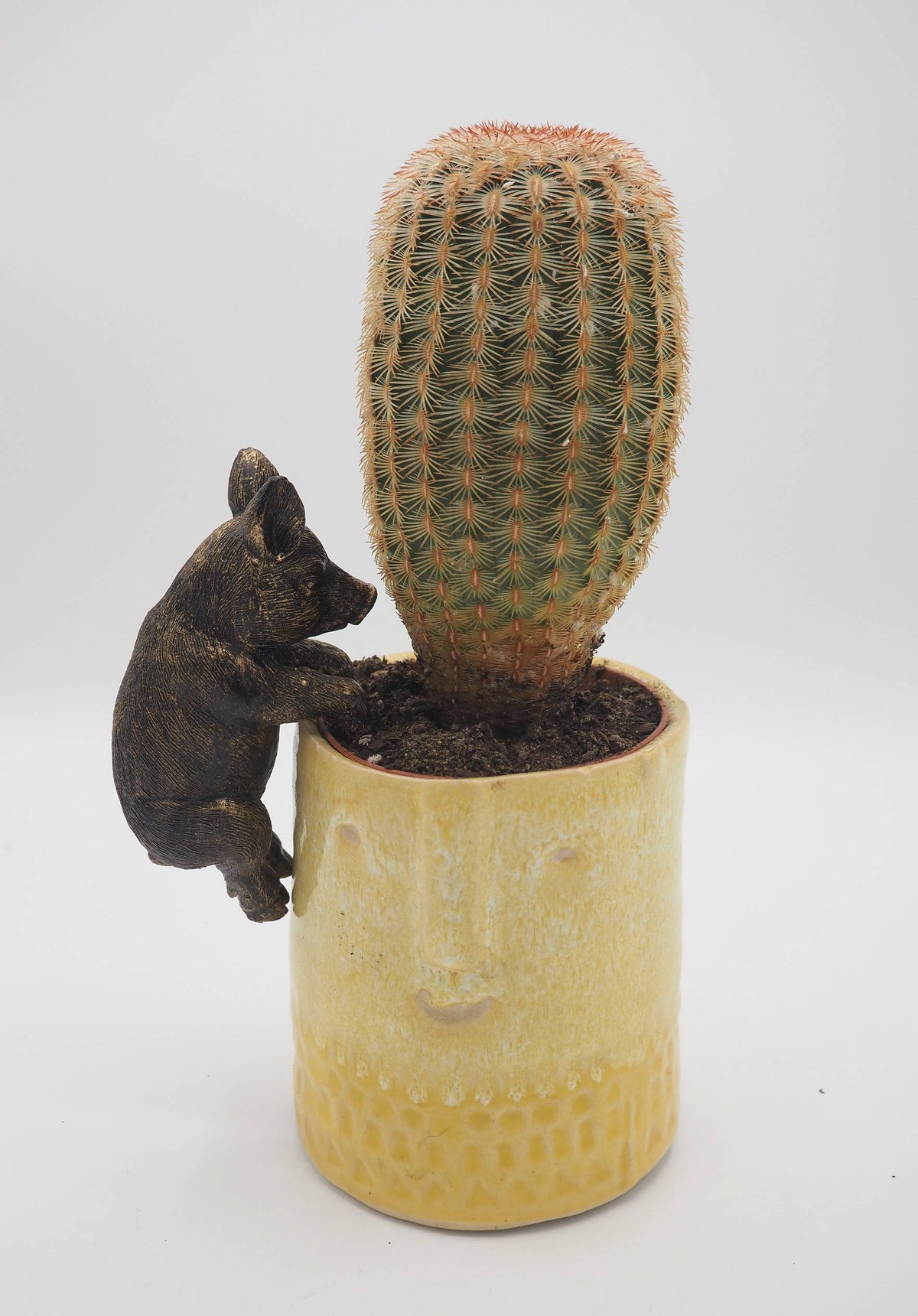 Pig Pot Buddies Plant Pot Hanger