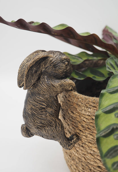 Rabbit Pot Buddies Plant Pot Hanger