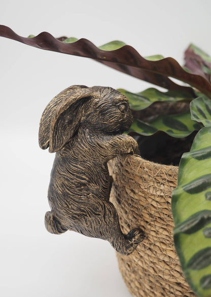 Rabbit Pot Buddies Plant Pot Hanger