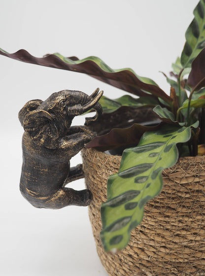 Elephant Pot Buddies Plant Pot Hanger