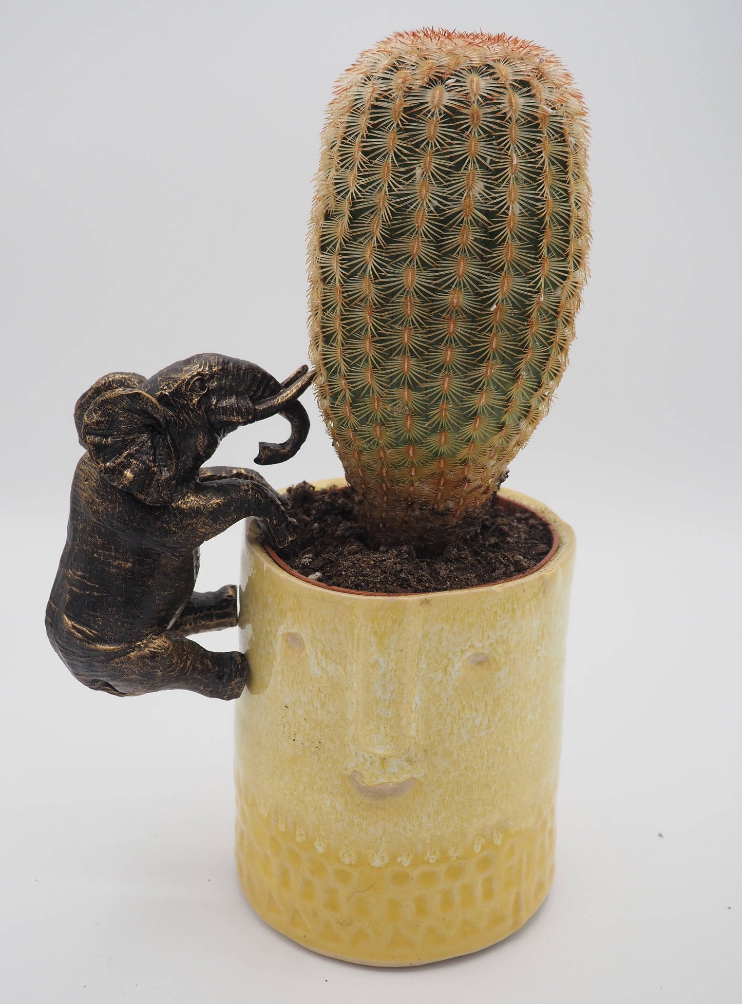Elephant Pot Buddies Plant Pot Hanger