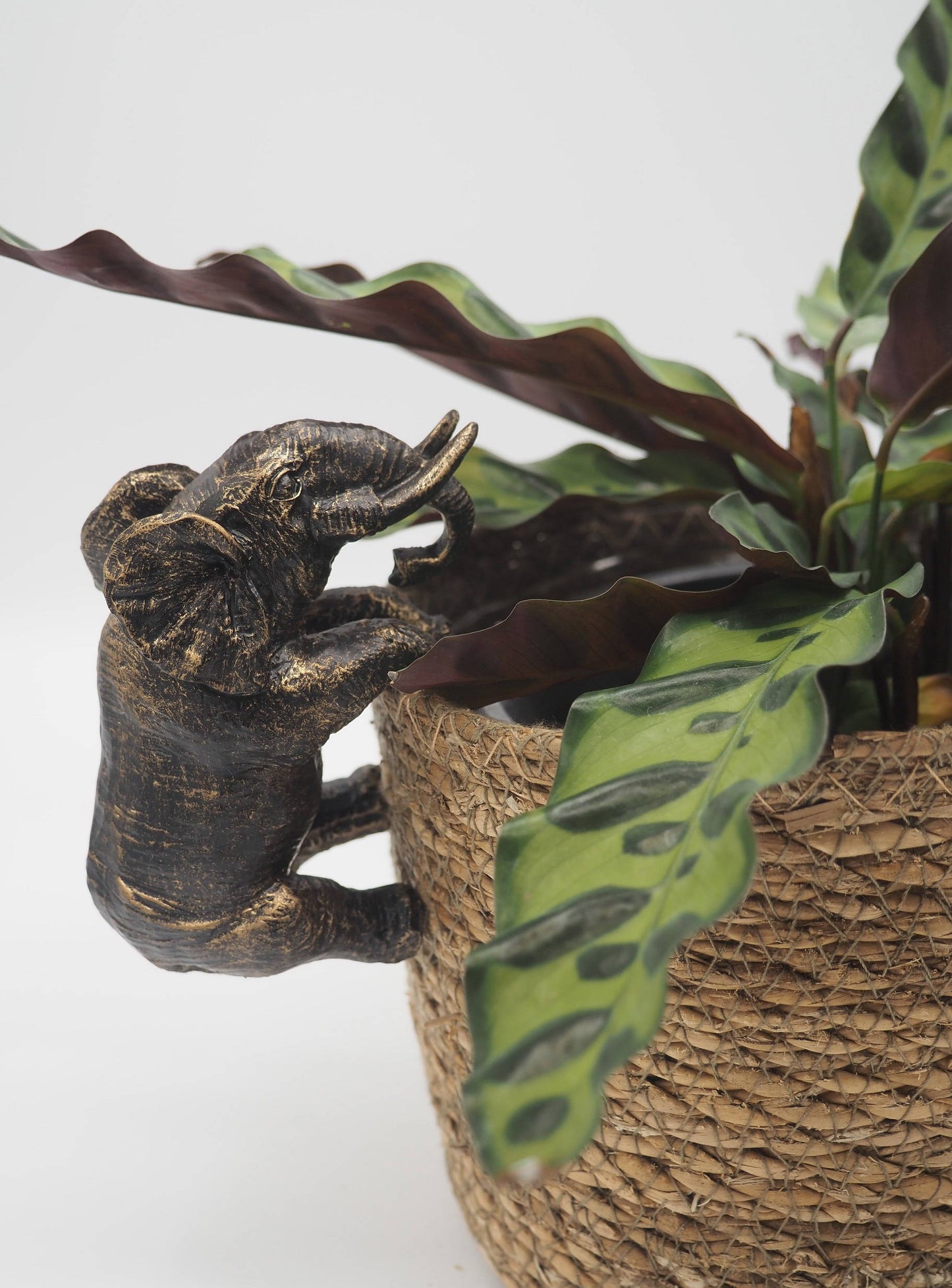 Elephant Pot Buddies Plant Pot Hanger