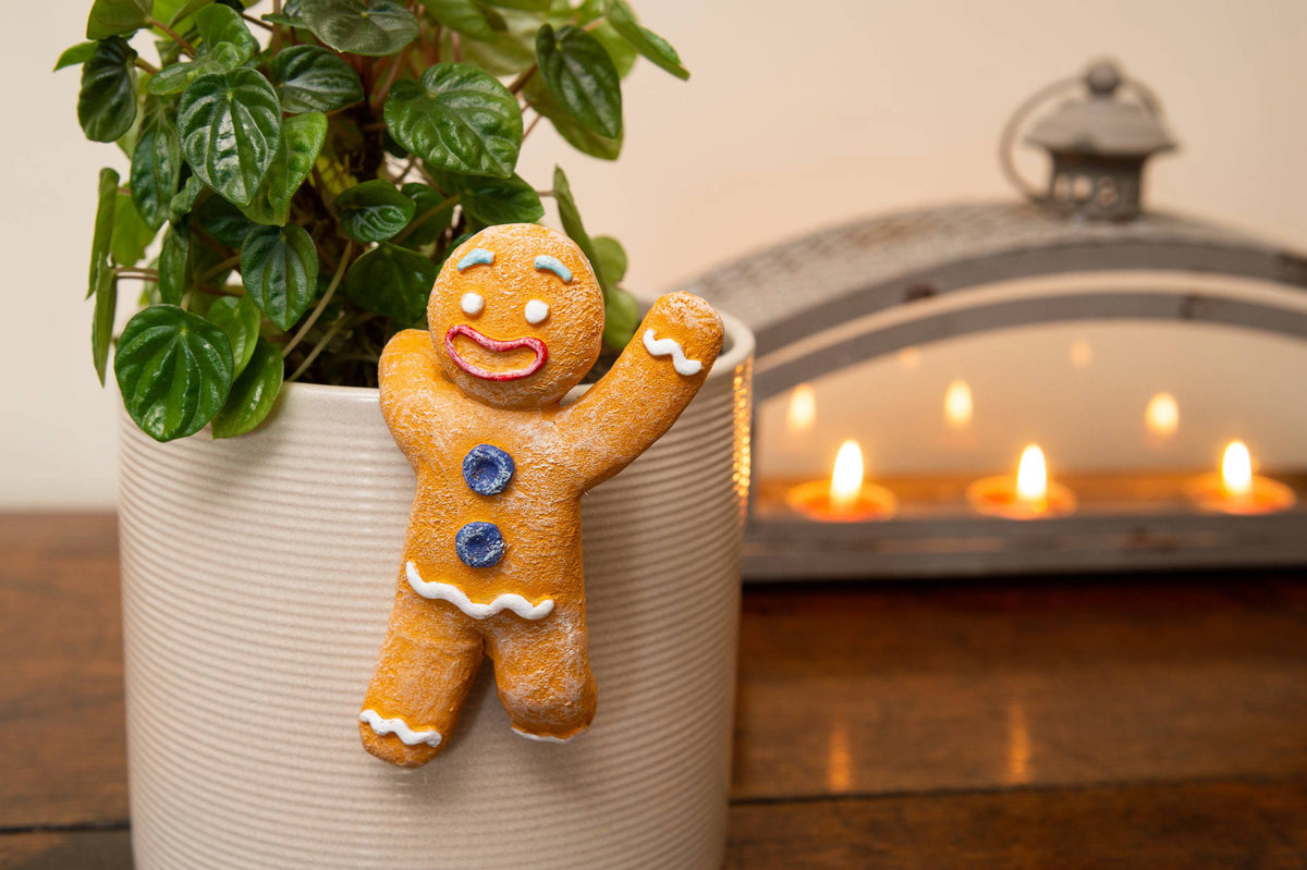 Christmas Set of 5 Pot Buddies