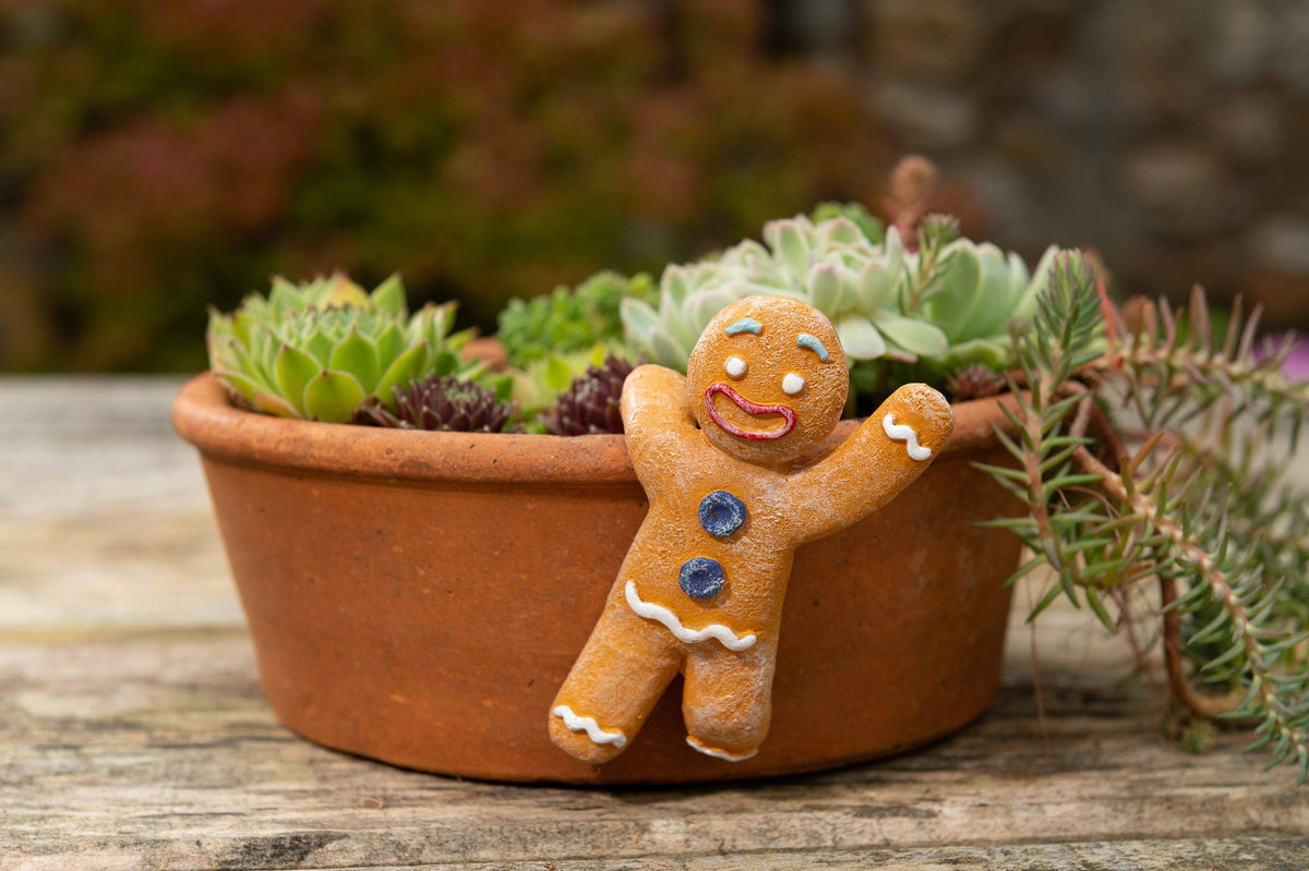 Christmas Set of 5 Pot Buddies