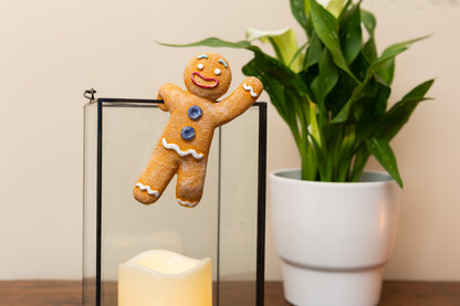 Christmas Set of 5 Pot Buddies