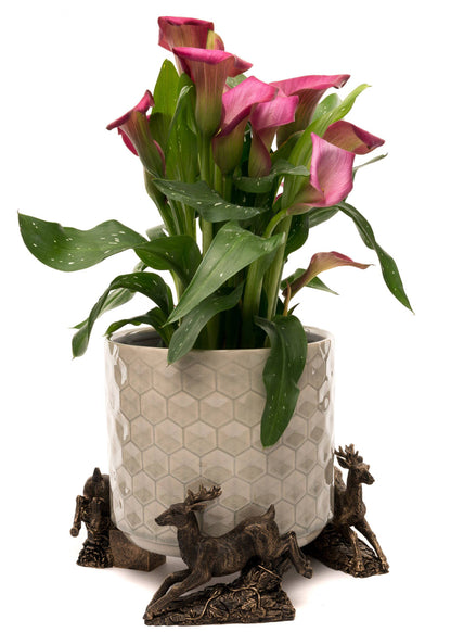 Leaping Stag Plant Pot Feet - Set of 3