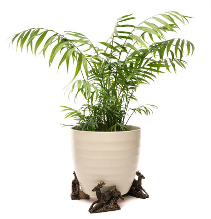 Leaping Stag Plant Pot Feet - Set of 3