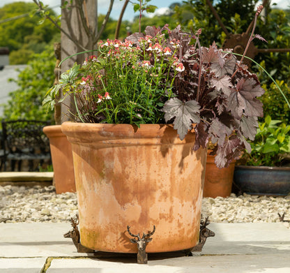 Stag Plant Pot Feet - Set of 3