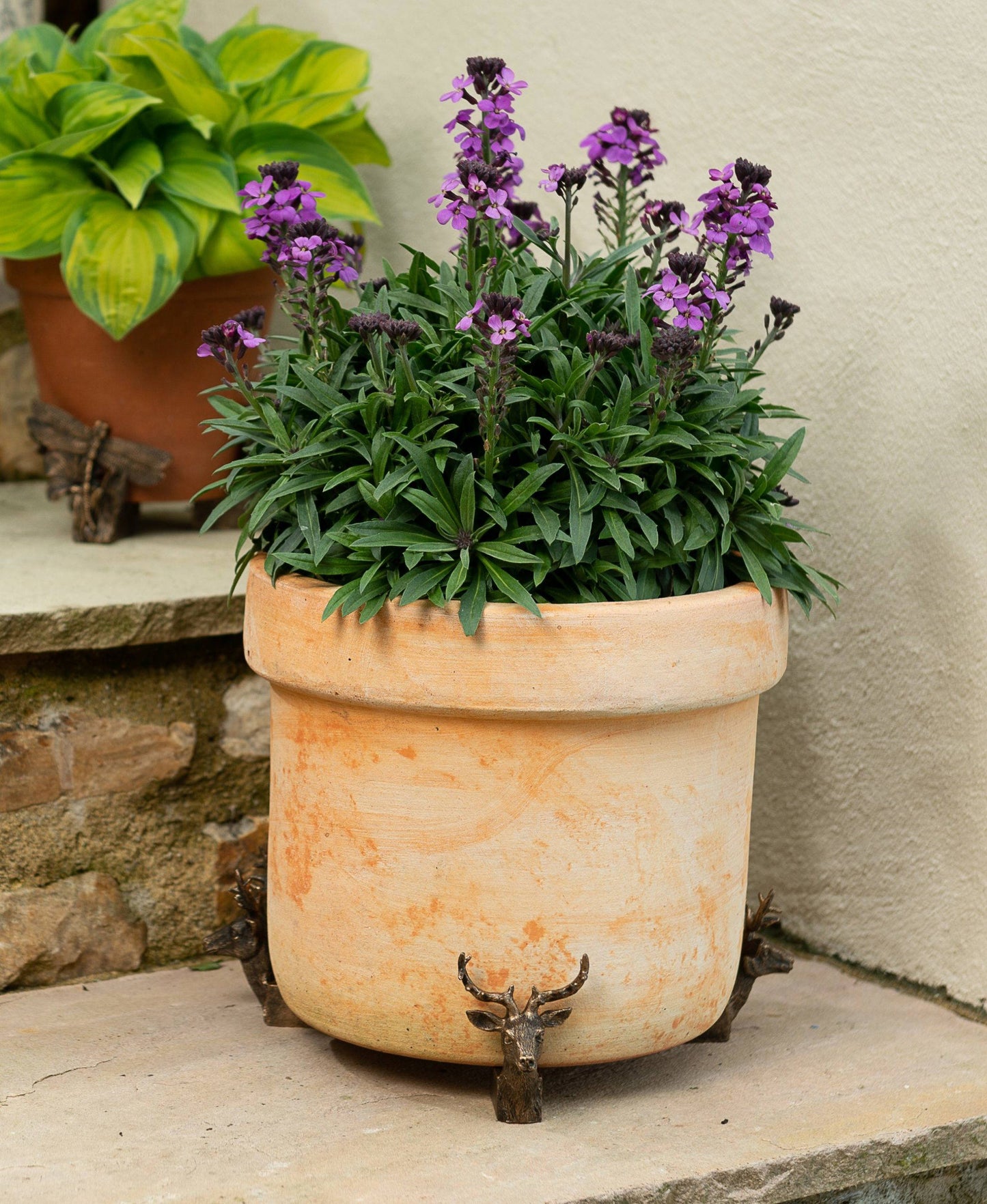 Stag Plant Pot Feet - Set of 3