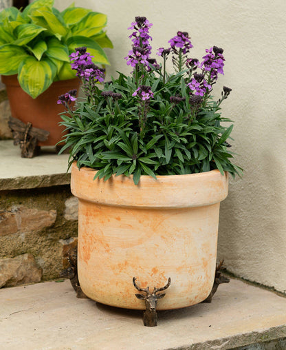 Stag Plant Pot Feet - Set of 3