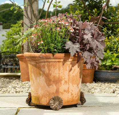 Bee Plant Pot Feet - Set of 3