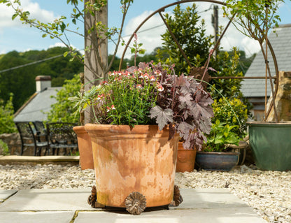 Bee Plant Pot Feet - Set of 3