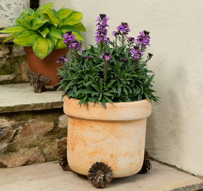 Bee Plant Pot Feet - Set of 3