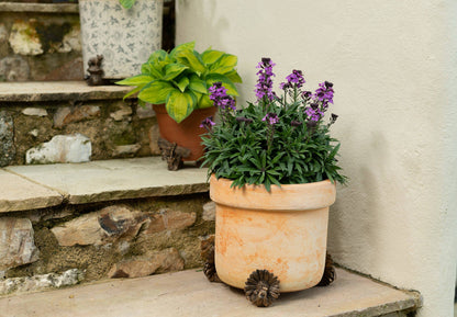 Bee Plant Pot Feet - Set of 3