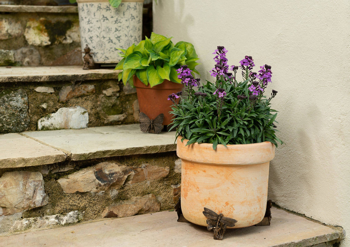Dragonfly Plant Pot Feet - Set of 3