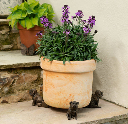 Sitting British Bulldog Plant Pot Feet - Set of 3