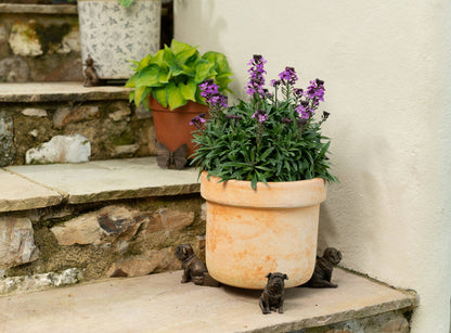 Sitting British Bulldog Plant Pot Feet - Set of 3
