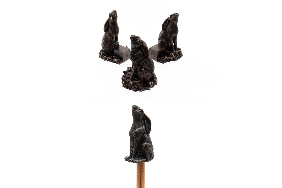 Moon Gazing Hare Potty Feet and Cane Companion Bundle Set