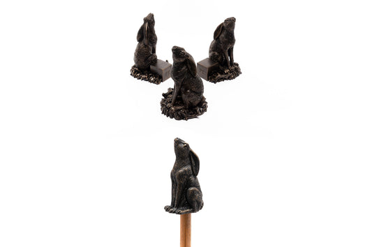 Moon Gazing Hare Potty Feet and Cane Companion Bundle Set