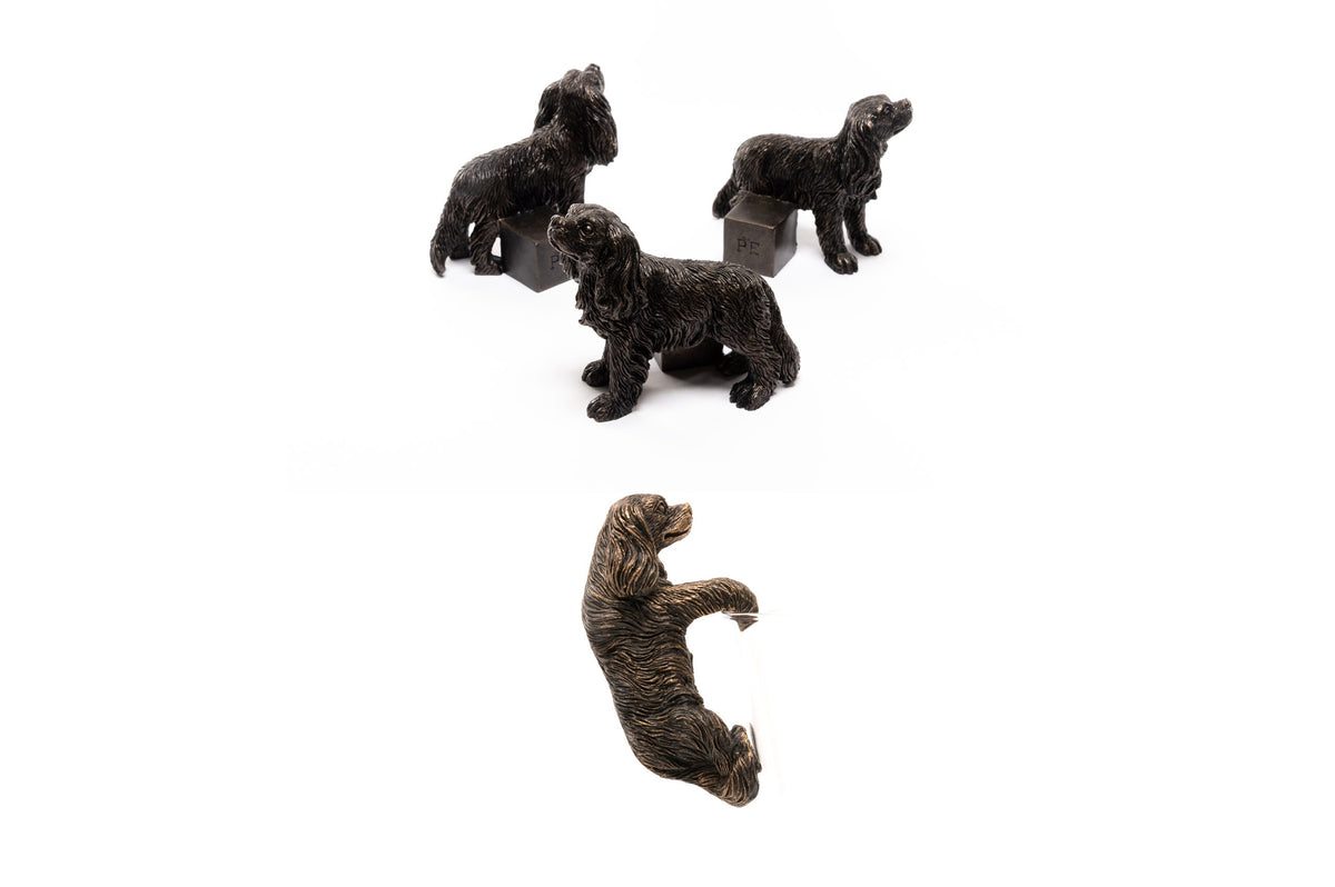 Cavalier King Charles Potty Feet and Pot Buddy