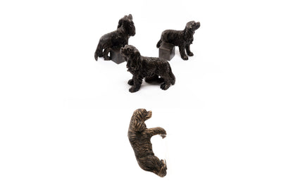 Cavalier King Charles Potty Feet and Pot Buddy