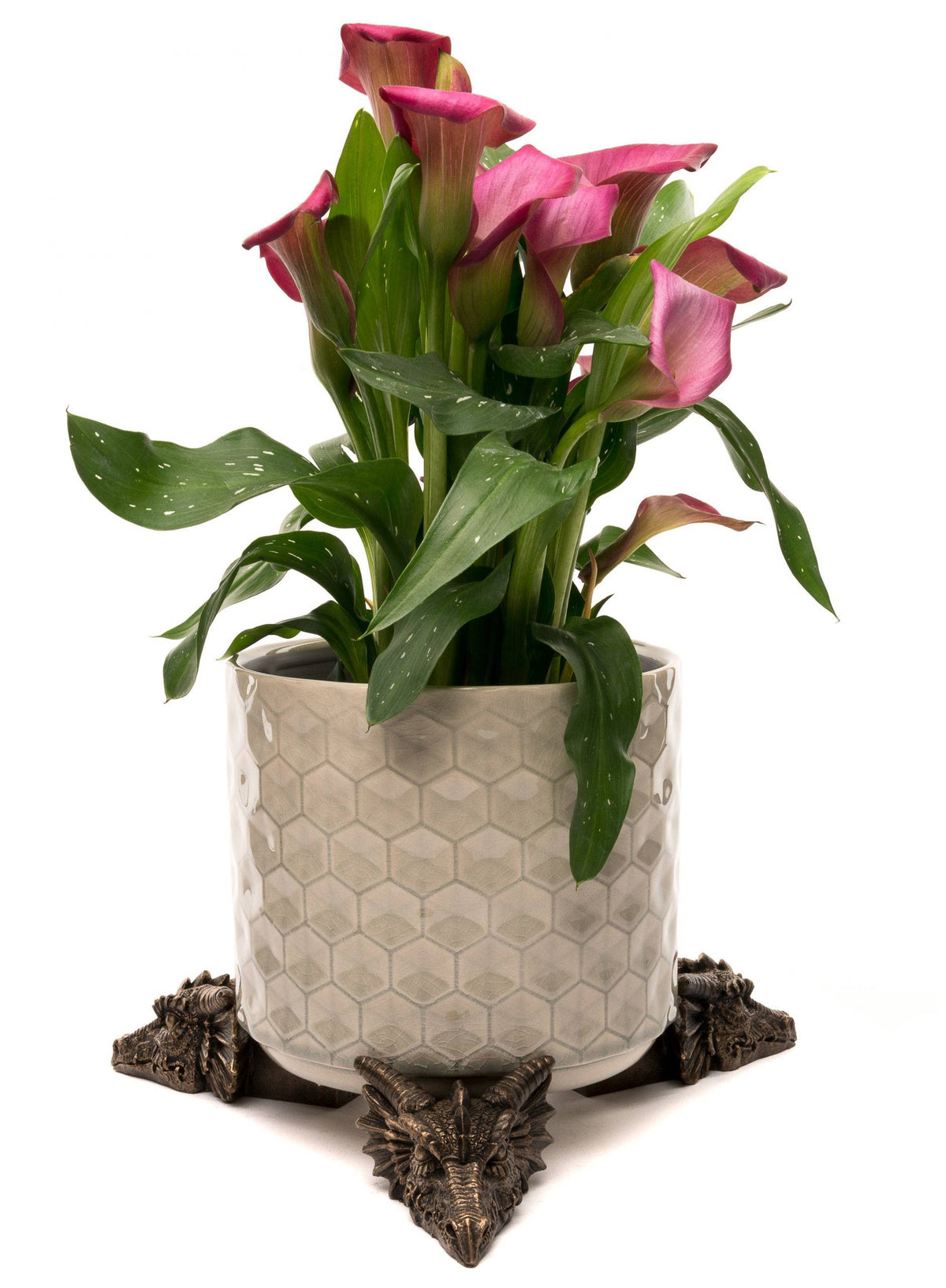Dragon Plant Pot Feet - Set of 3