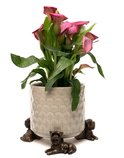Yorkshire Terrier Plant Pot Feet - Set of 3