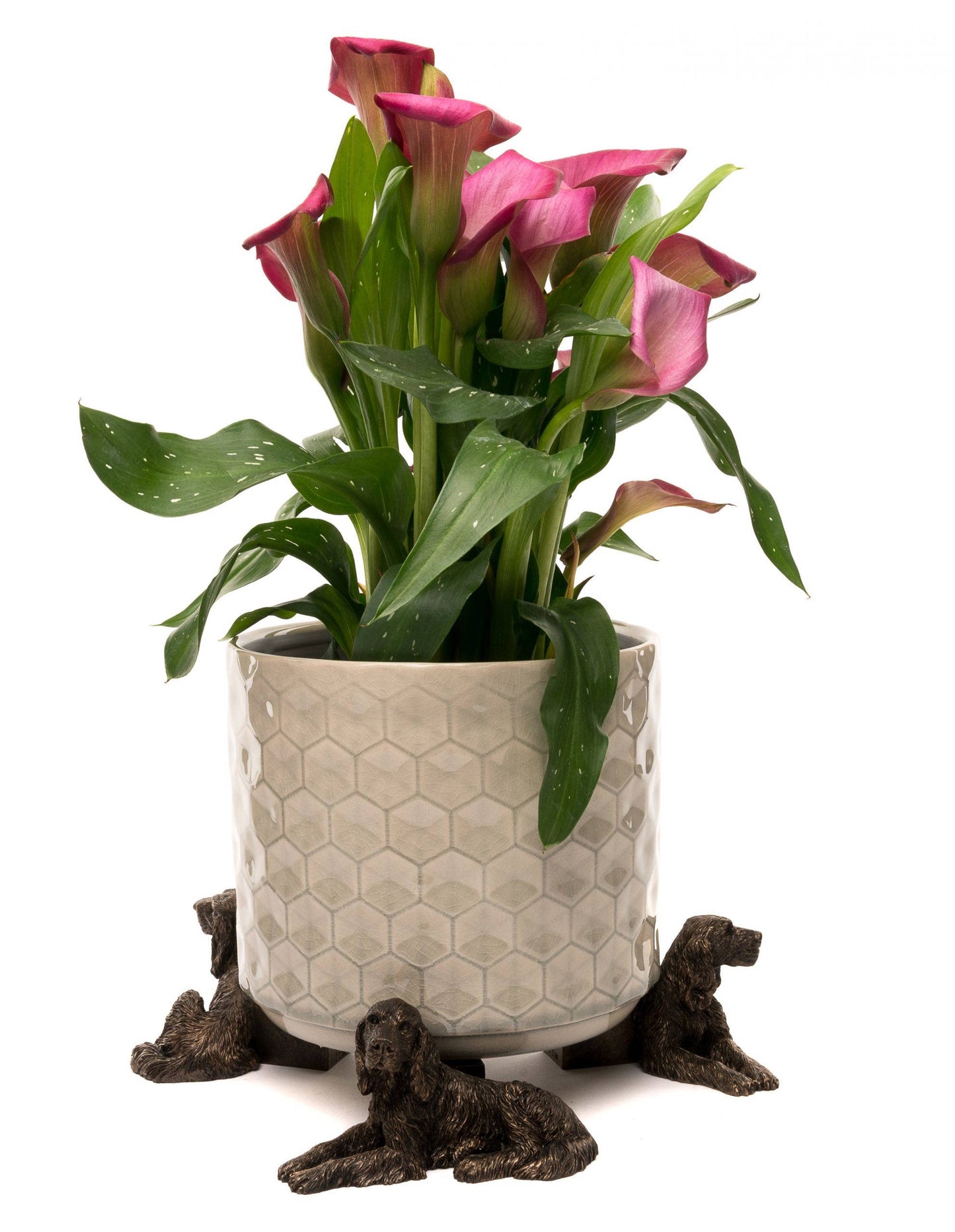 Irish Setter Plant Pot Feet - Set of 3
