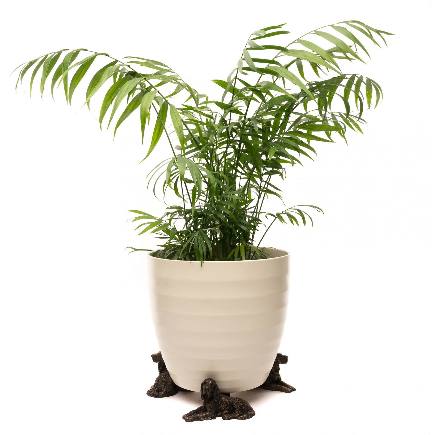 Irish Setter Plant Pot Feet - Set of 3