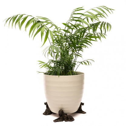 Irish Setter Plant Pot Feet - Set of 3
