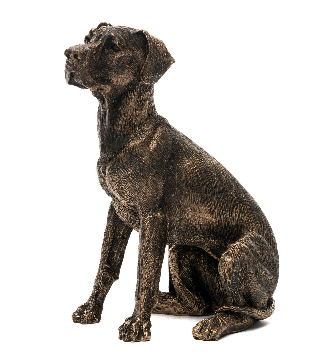 Great Dane Plant Pot Feet - Set of 3