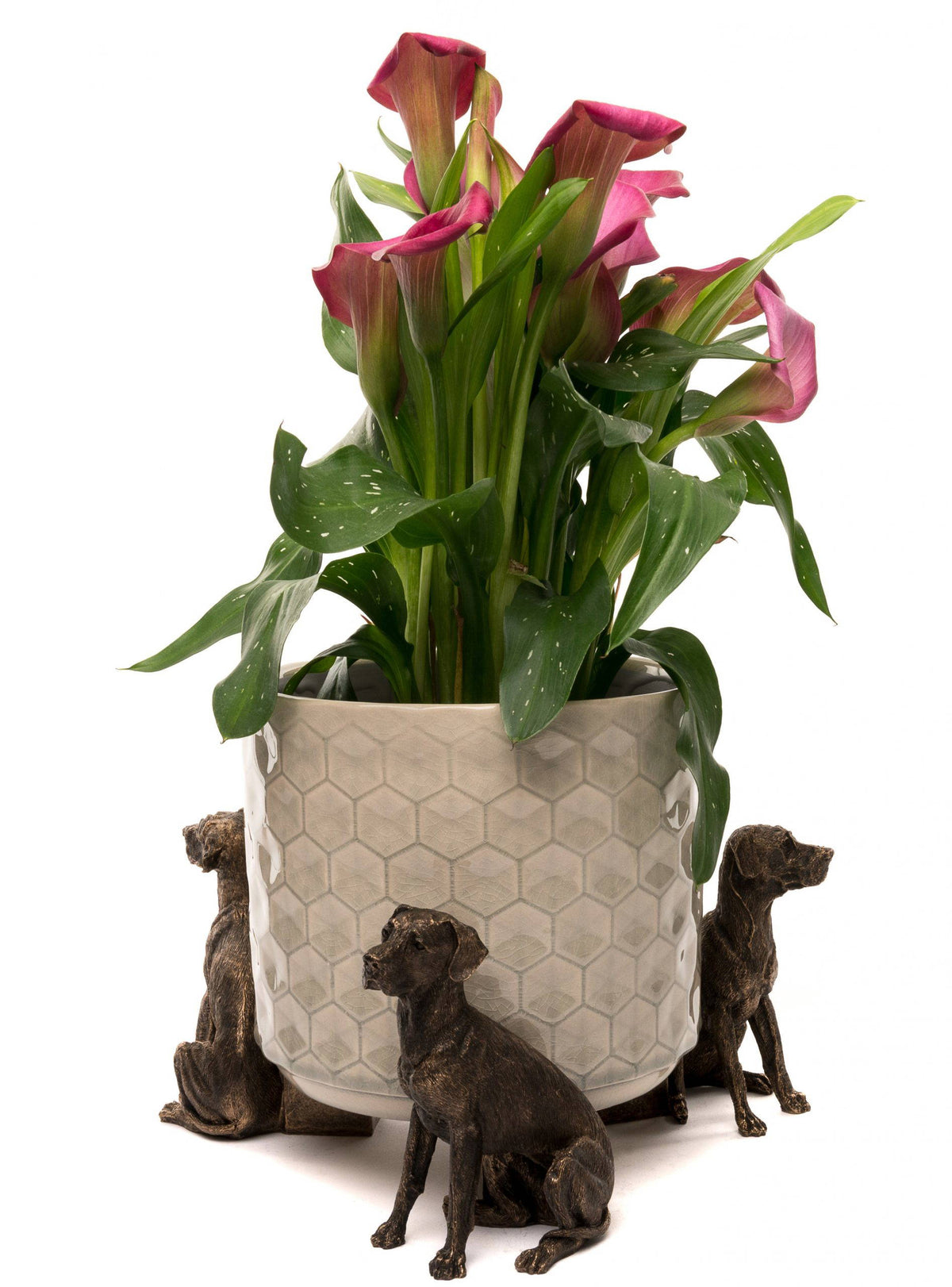 Great Dane Plant Pot Feet - Set of 3