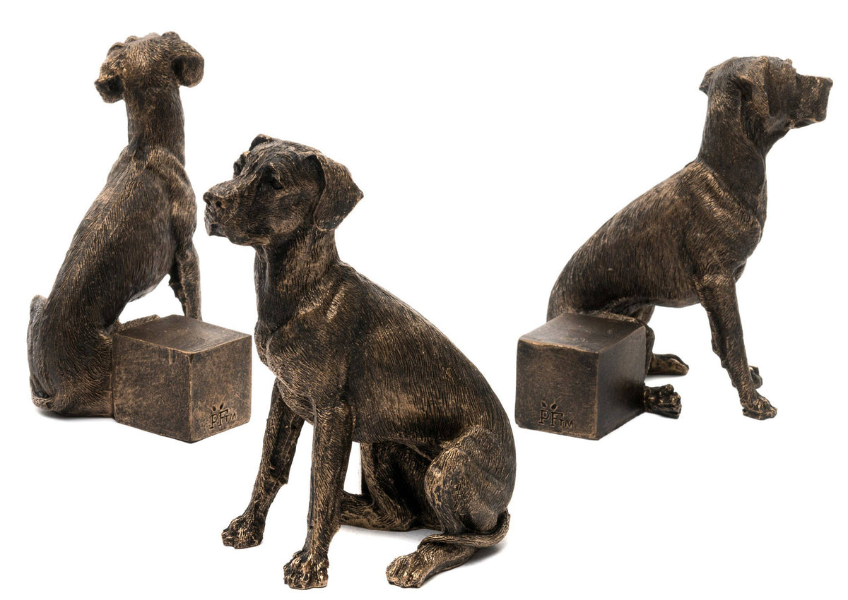 Great Dane Plant Pot Feet - Set of 3