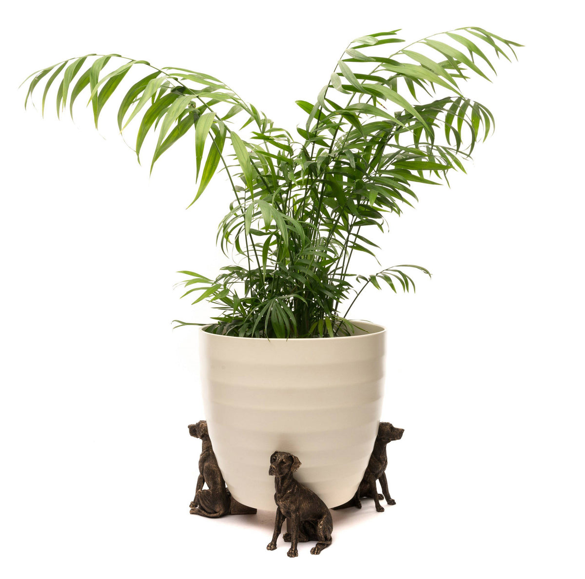 Great Dane Plant Pot Feet - Set of 3
