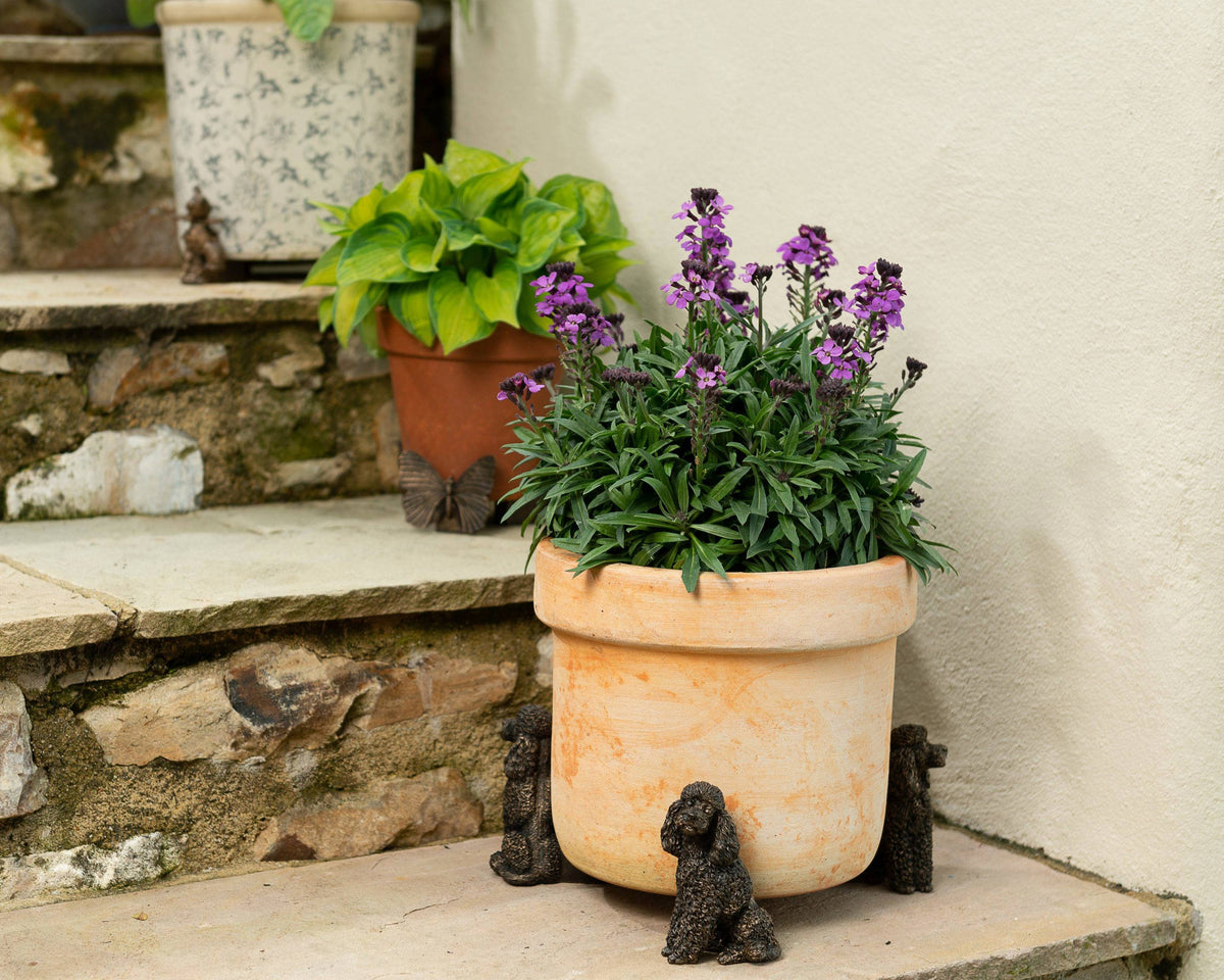 Poodle Plant Pot Feet - Set of 3