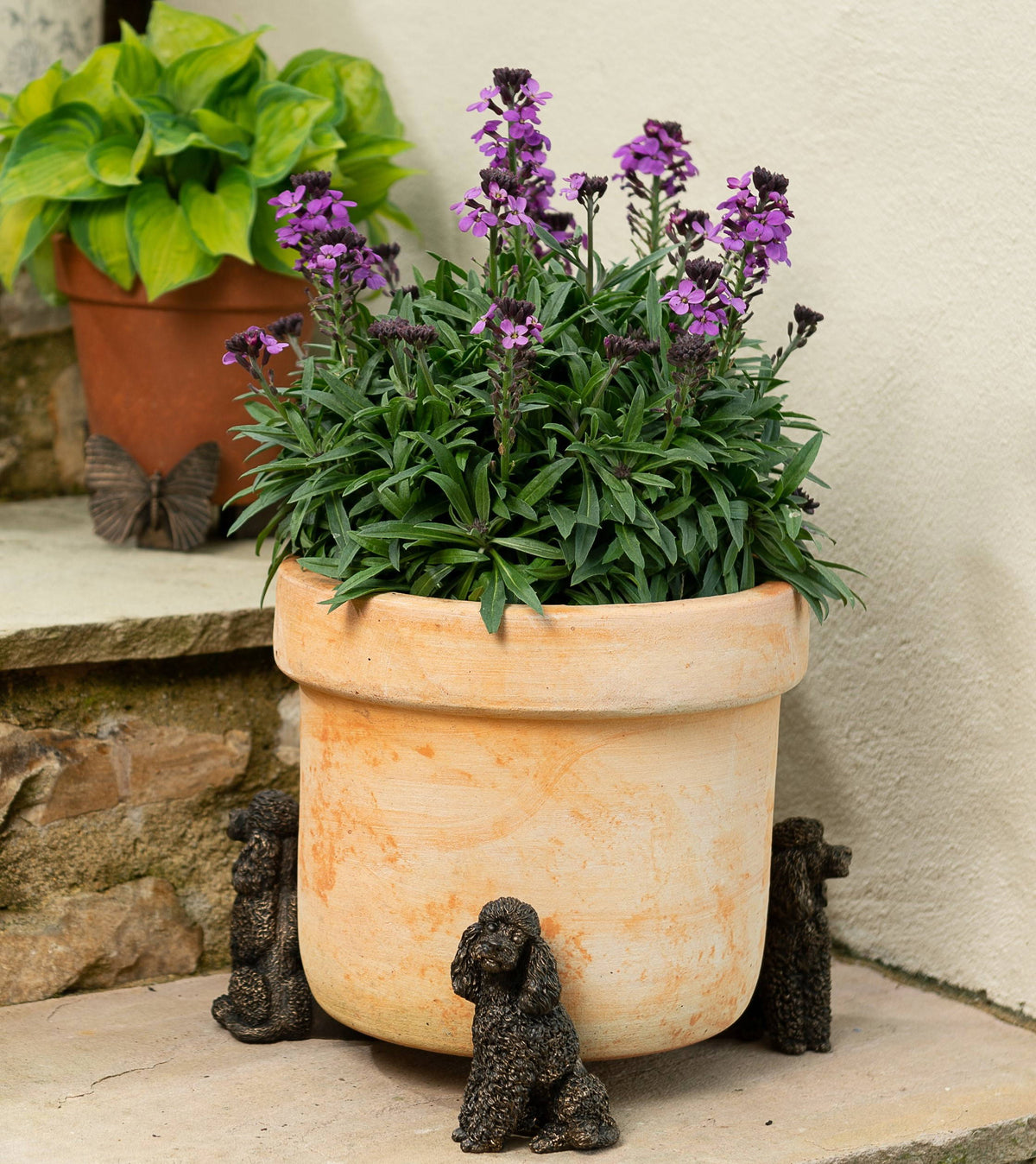 Poodle Plant Pot Feet - Set of 3