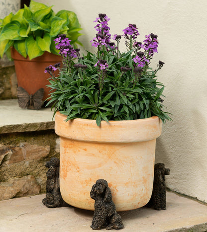 Poodle Plant Pot Feet - Set of 3
