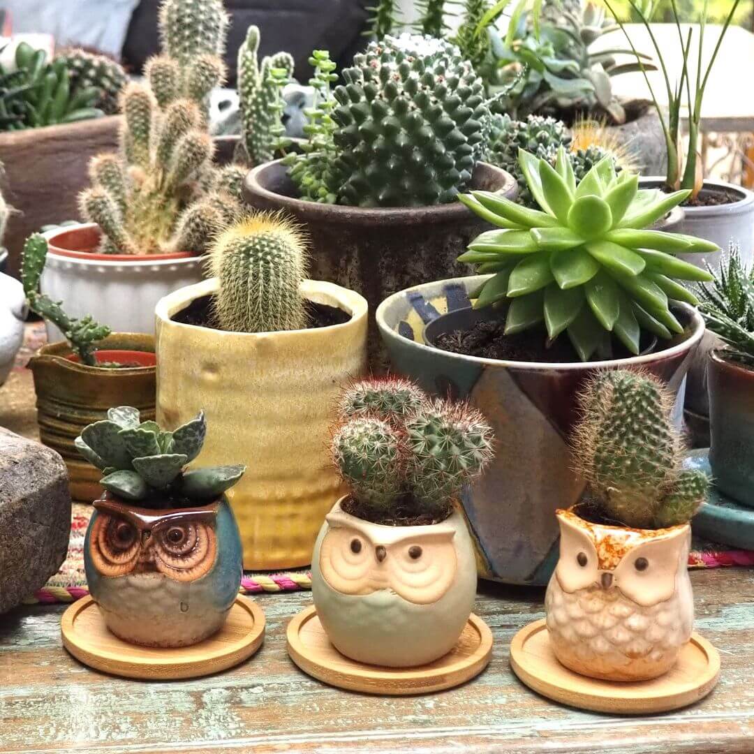 Owl Ceramic Planters with Saucers - Set of Three - Blue, Brown & Mint