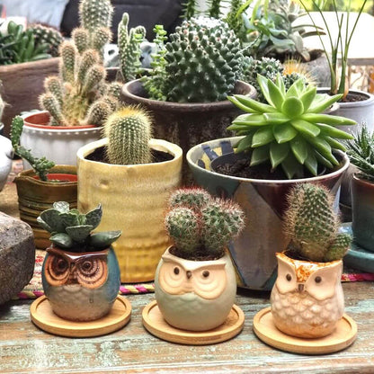Owl Ceramic Planters with Saucers - Set of Three - Blue, Brown & Mint
